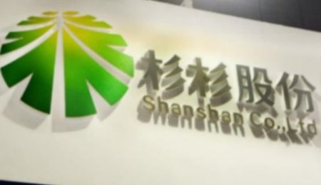 杉杉股份打造硅基一體化基地——抓住動力電池發展風口