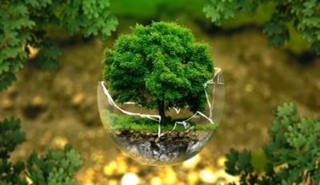 工業領域碳達峰行動取得積極進展——“碳達峰十大行動”進展