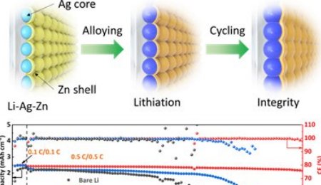 寧波材料所姚霞銀/彭哲&華南理工劉軍等: 鋰金屬負極顯著改善新策略