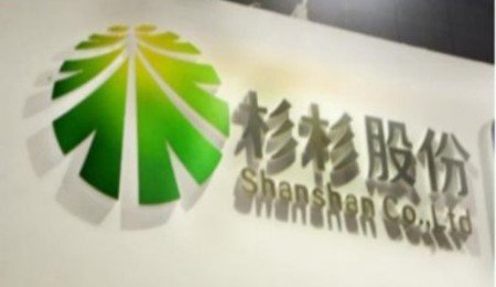 杉杉股份迎來新的“掌舵人”
