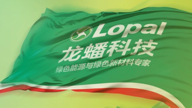 龍蟠科技與LGES簽諒解備忘錄 擬合作在印尼運營正極材料工廠