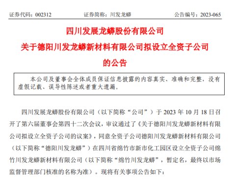 年產(chǎn)10萬噸！川發(fā)龍蟒擬設(shè)立孫公司投建磷酸鐵鋰項目