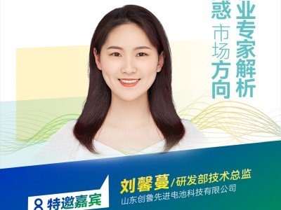 【會議報告】石榴石固體電解質(zhì)研究進展與面臨的關鍵問題