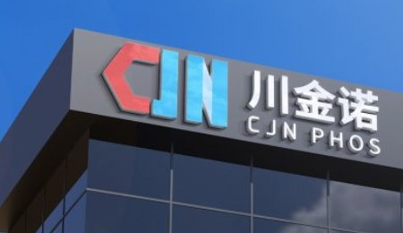 總投資23.56億元！兩大磷酸鐵鋰正極材料項目被叫停